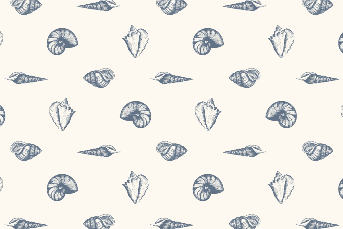 10 Hand Drawn Seashell + 5 Patterns, an Object Illustration by Storyteller Imagery (Photo 4 of 7)
