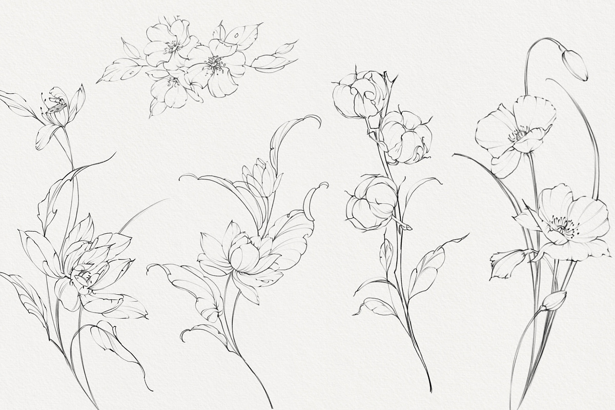 Procreate Phoenix stamps with flower, a Brush Add-On by AnnaPolitmerskaja (Photo 4 of 5)