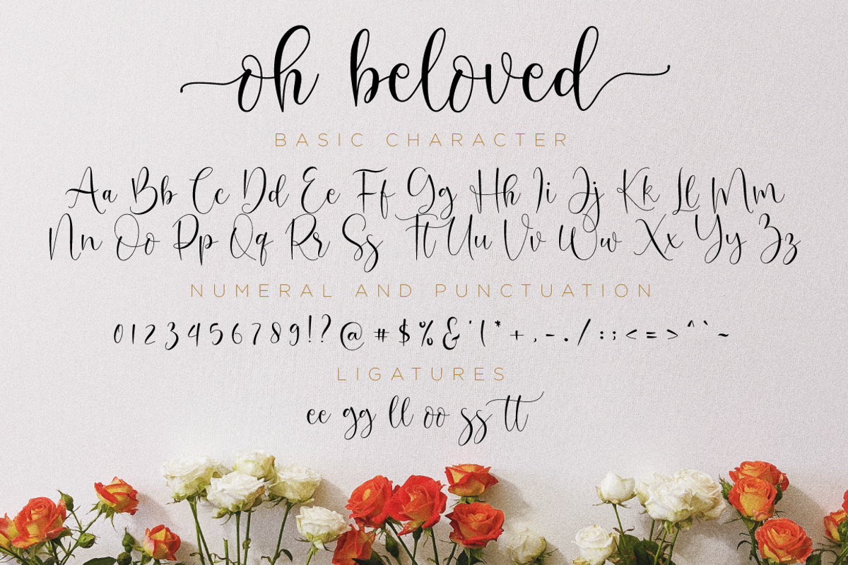 Oh Beloved Script, a Script Font by Nissa Studio (Photo 11 of 12)