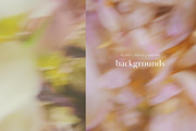 Soft Floral Spring Blur Backgrounds, a Background Graphic by eclosque (Thumbnail 30 of 48)