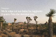 MACALA DE CLUB Serif Font, a Serif Font by Hishand Studio (Thumbnail 10 of 10)