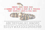 Snake end - hand drawn font, a Font by Dmitriylo (Thumbnail 2 of 2)