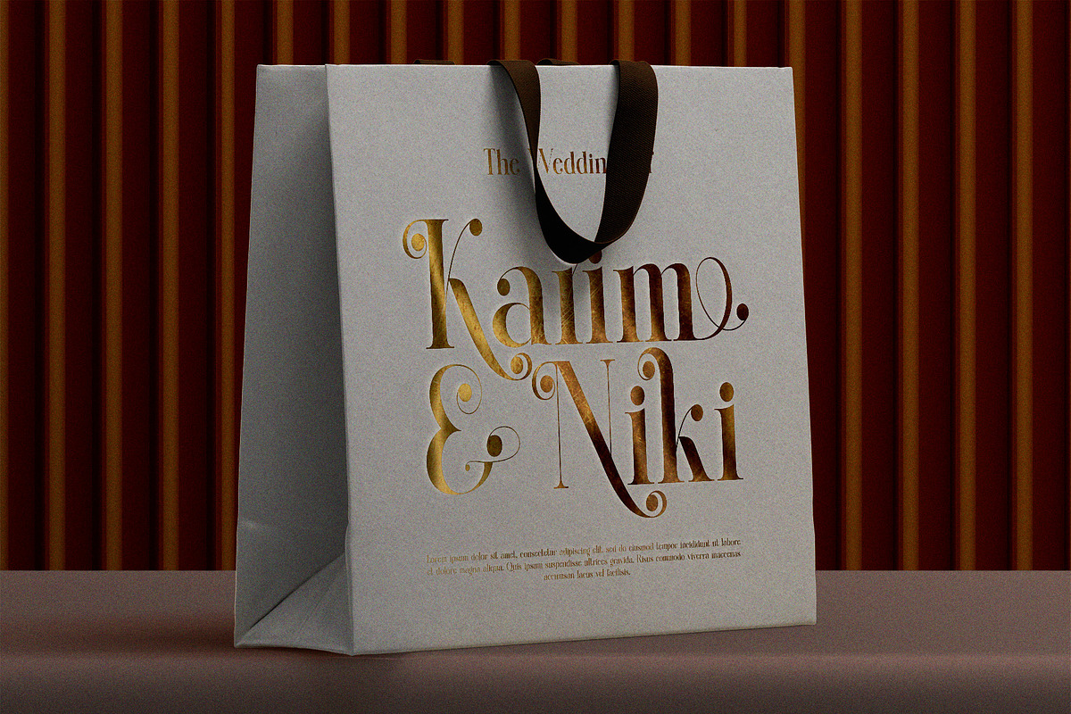 Qid Bronste Elegant Serif, a Serif Font by Perfectype (Photo 6 of 9)