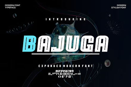 Bajuga Font