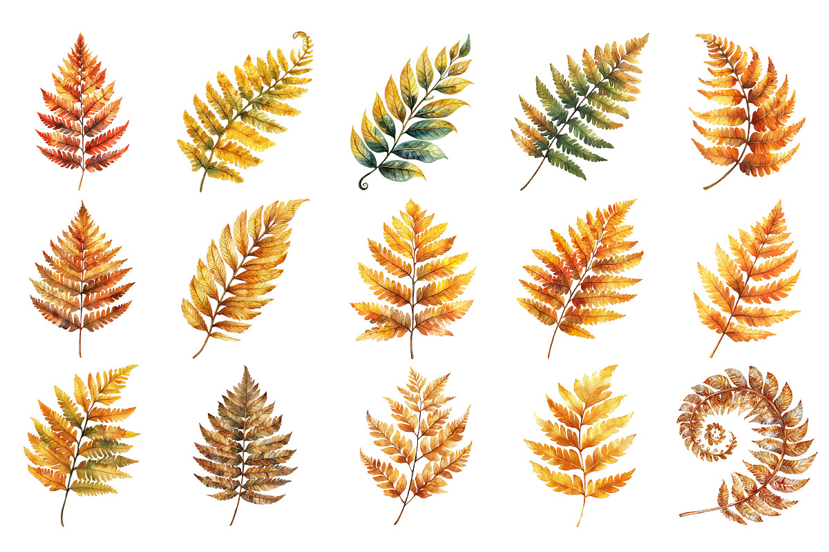 Fall Ferns Clipart Bundle, an Illustration by Pixels.Craft (Photo 3 of 4)