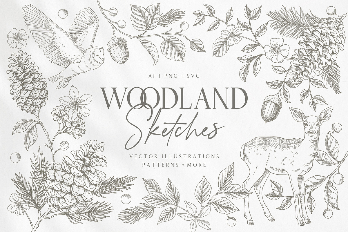 Woodland Sketches Vector Collection, an Animal Illustration by rouxsupplyco (Photo 1 of 19)
