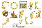 100 watercolour daffodil clip art, a Seasonal Illustration by Poppy Lane Studio (Thumbnail 11 of 12)