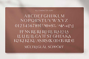 Le Mores Collection, a Serif Font by Mulkan Nazir (Thumbnail 15 of 15)