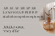Arlita – Unique Ligature Font, a Serif Font by BrandSemut (Thumbnail 10 of 10)