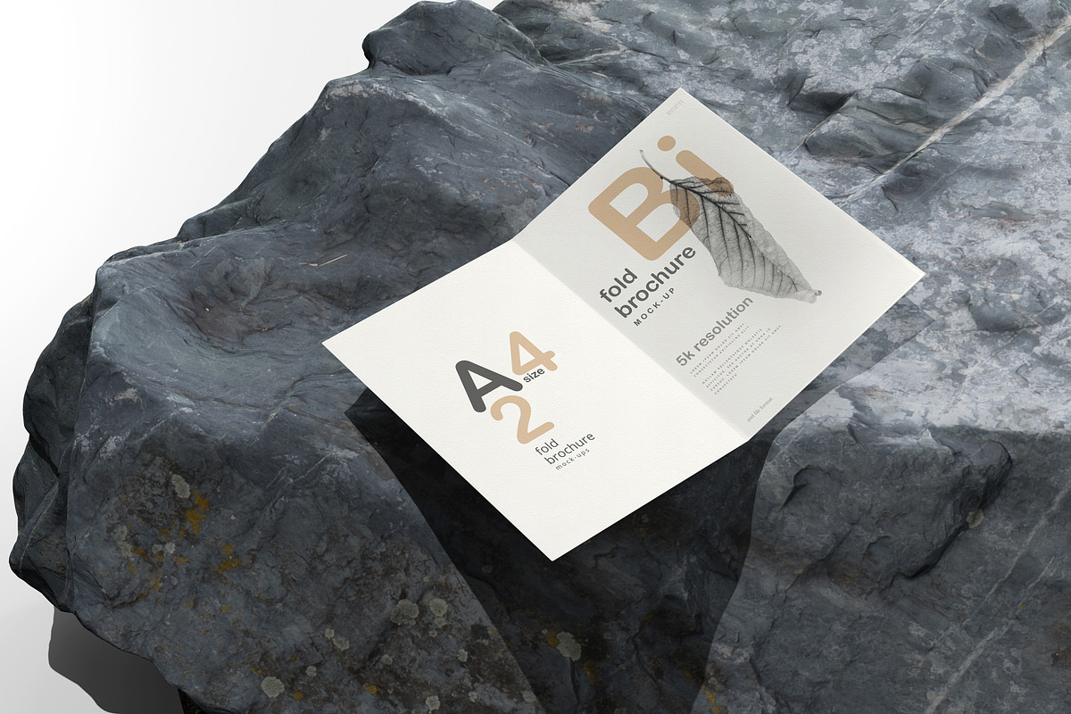 A4 Size Bi-Fold Brochure Mockup, a Print Template by pmvch (Photo 19 of 20)