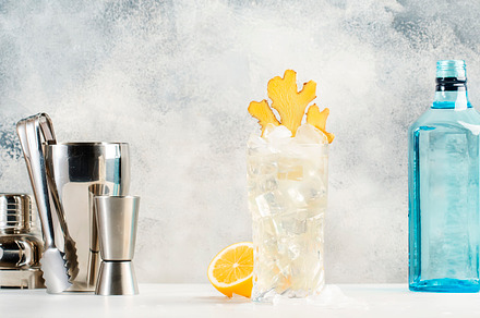 Gin mule trendy cocktail with dry gin, lemon juice, soda, lime a, a Food & Drink Photo by 5PH