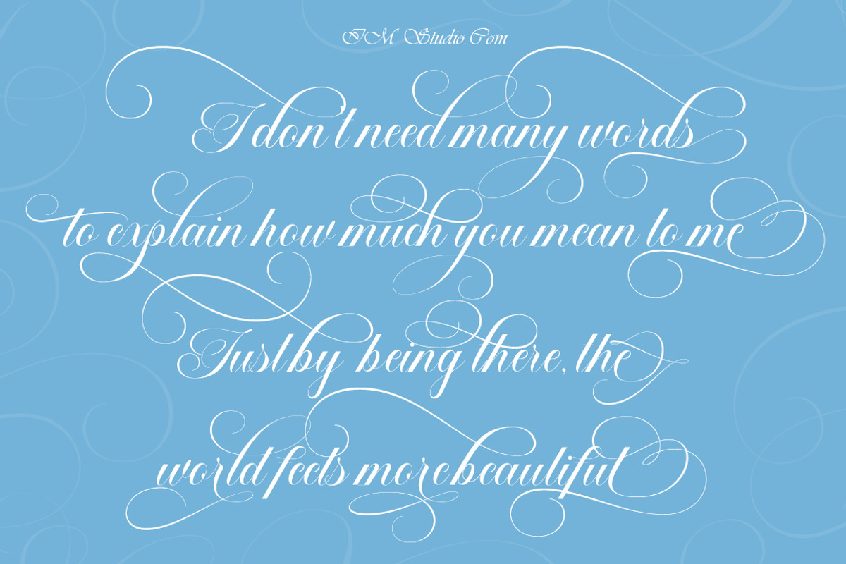 Elemental Calligraphy, a Script Font by IM Studio (Photo 11 of 12)