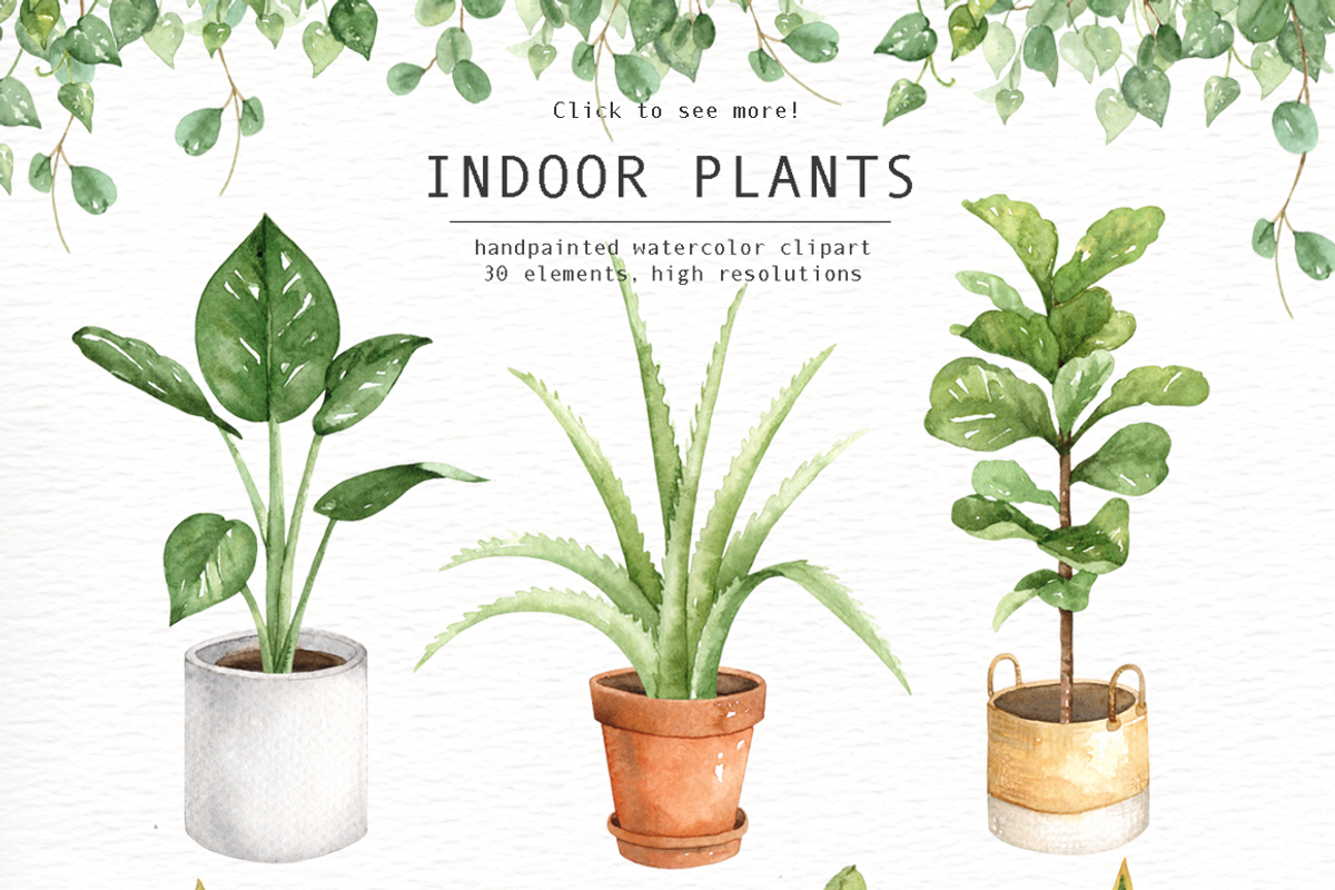 Indoor Plants Watercolor Clipart, an Illustration by everysunsun (Photo 4 of 5)