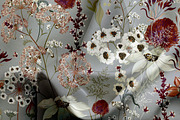 Wild meadow seamless pattern, a Pattern Graphic by FleurArt (Thumbnail 6 of 6)