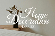 Black Dermys Wedding Font, a Script Font by Elegant Font (Thumbnail 2 of 8)