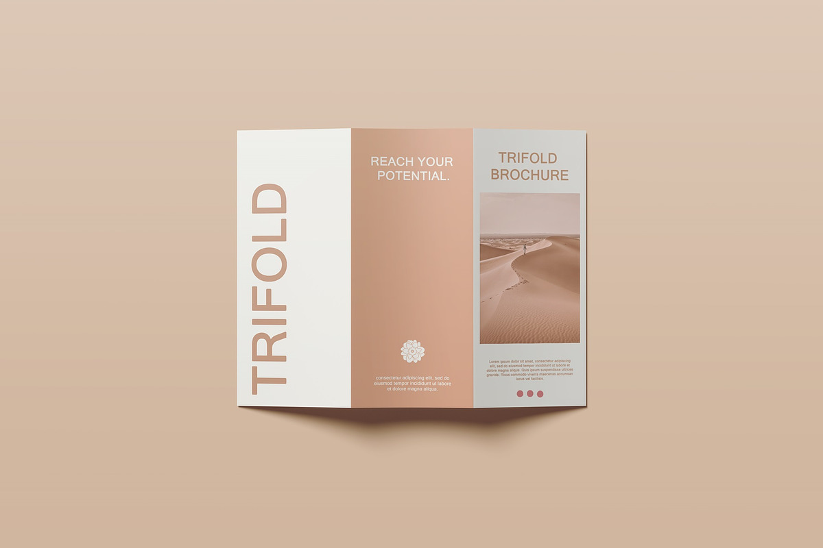 Trifold Brochure Mockup, a Books & Magazine Mockup by Lxadesign (Photo 6 of 18)