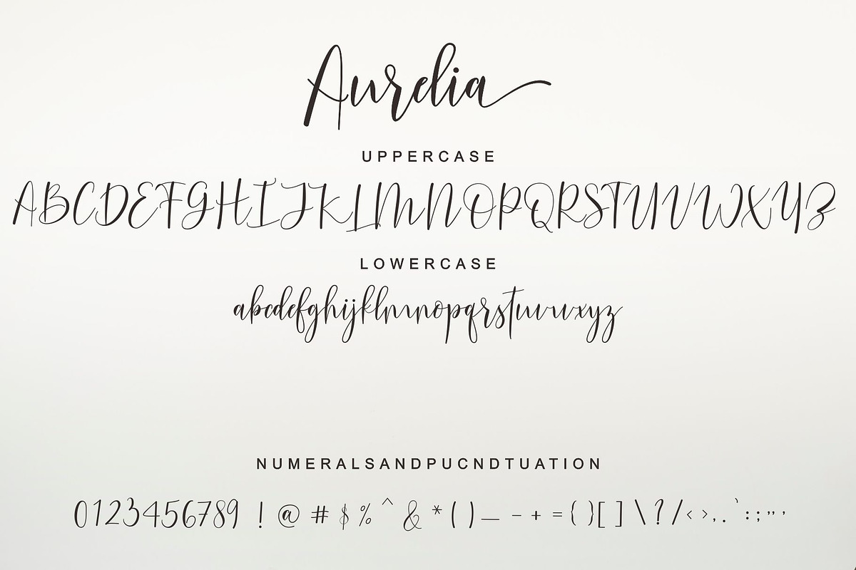 Aurelia Script, a Script Font by Nowlystudios (Photo 9 of 10)