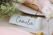 Chloe Mathel Handwritten Font, a Script Font by gafaroff studio (Thumbnail 6 of 10)