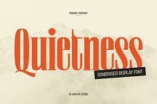 Quietness Condensed
