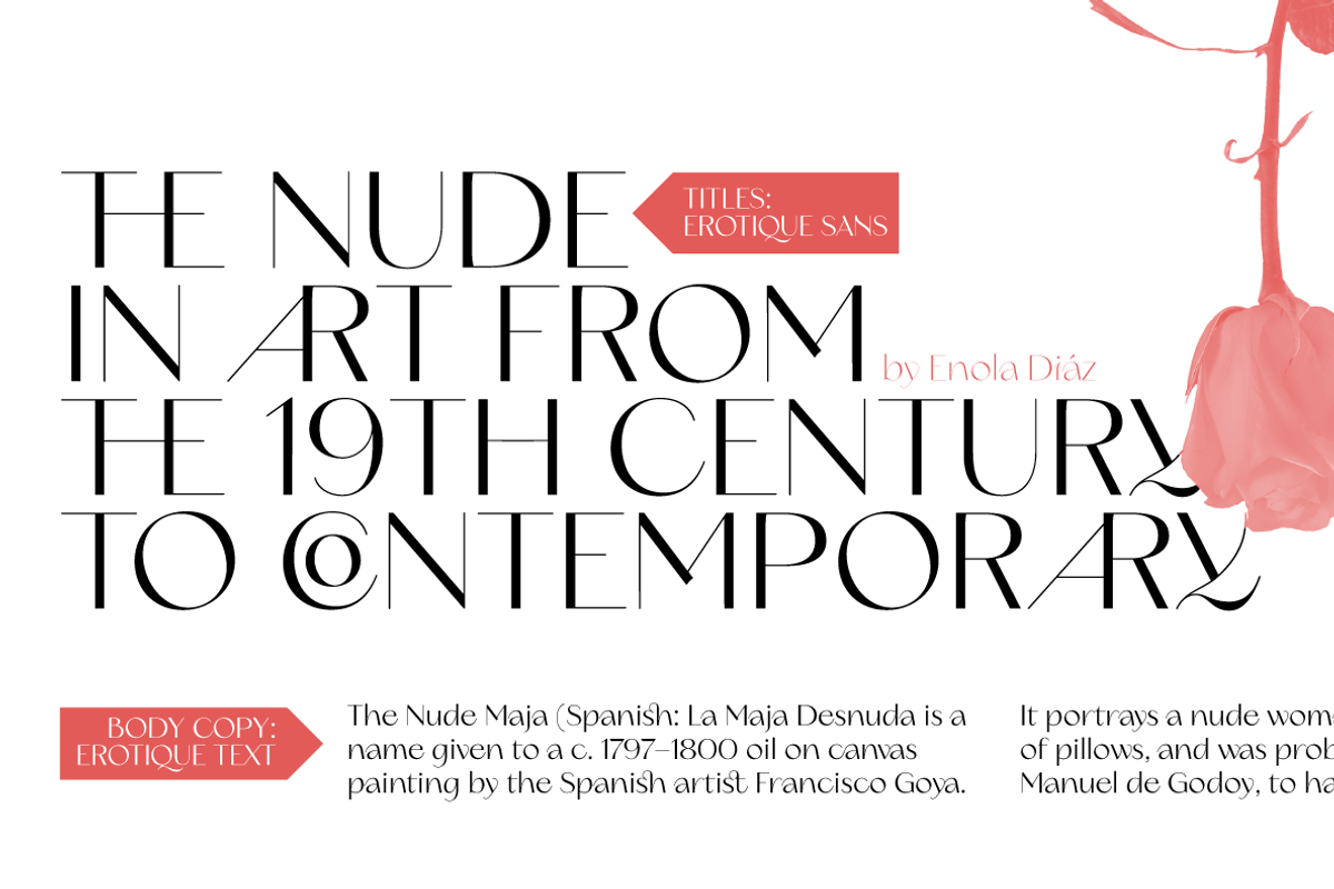 Erotique Sans - 10 fonts, a Sans Serif Font by Zetafonts (Photo 5 of 18)