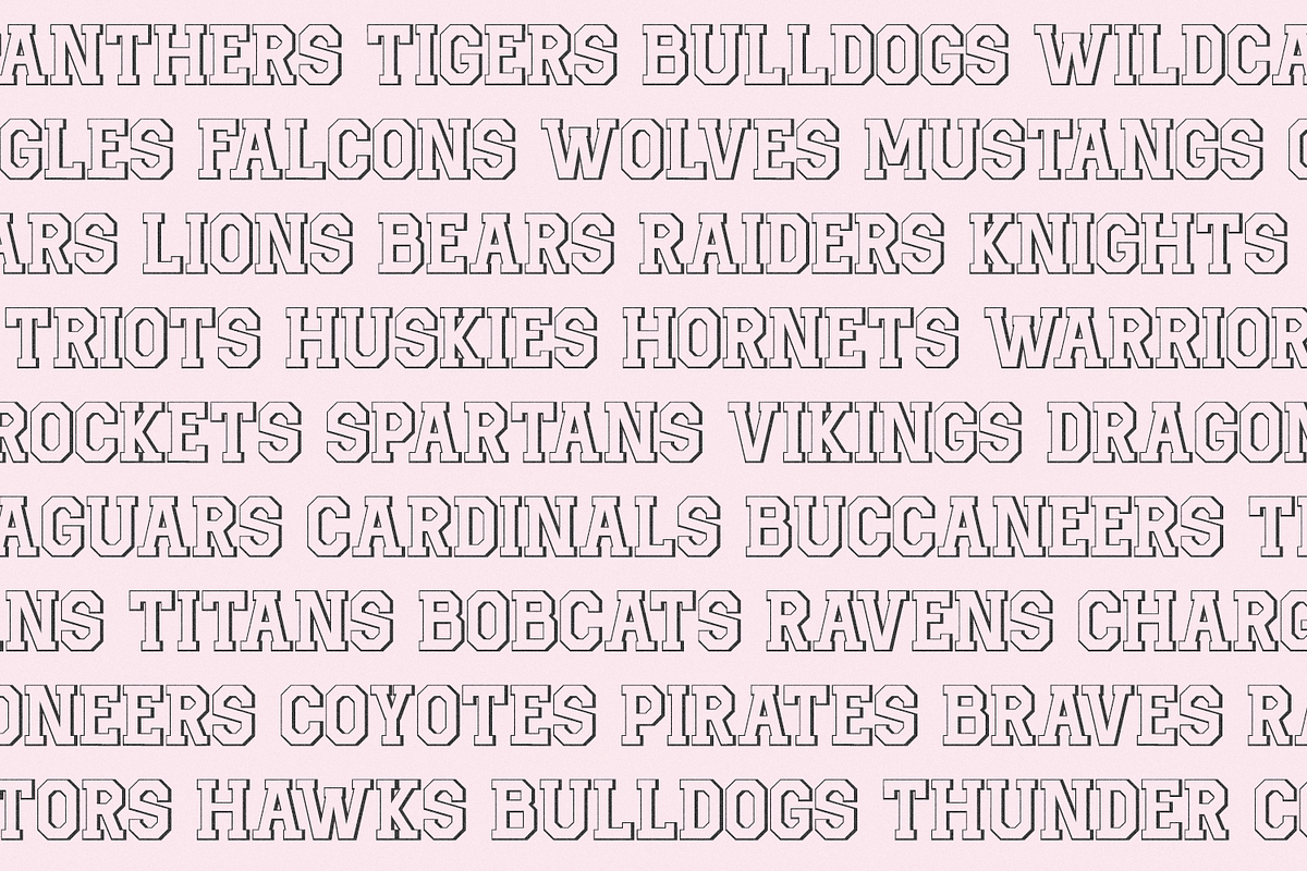 Benchwarmer - Sports Font Family, a Serif Font by Beck McCormick (Photo 5 of 10)