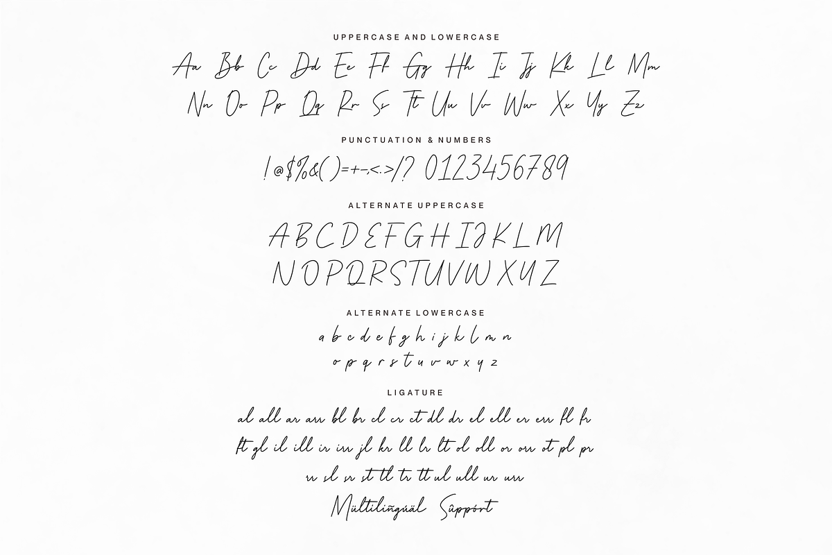 Manly Signature, a Script Font by Allouse Studio (Photo 10 of 11)