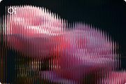 Reeded Glass Effect, a Layer Style Add-On by Opaq Studio (Thumbnail 7 of 8)