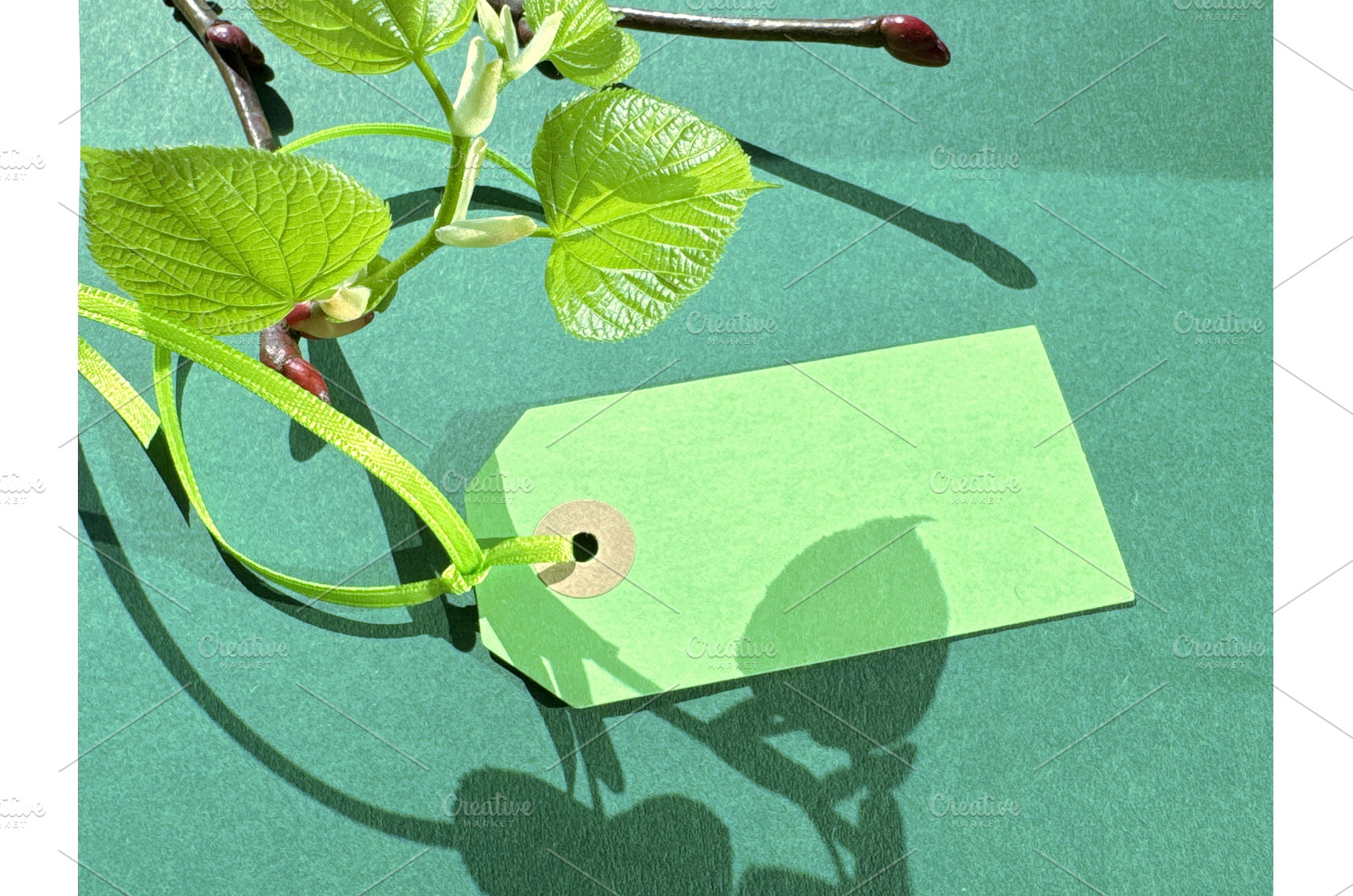 Green tag with ribbon and leaves, a Photo by tilialucida
