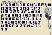 STORAGE SYSTEM - Rounded Font, a Sans Serif Font by 177Studio (Thumbnail 8 of 8)