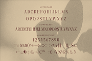 Magfire Hyena Modern Serif Font, a Serif Font by Storytype Studio (Thumbnail 13 of 15)