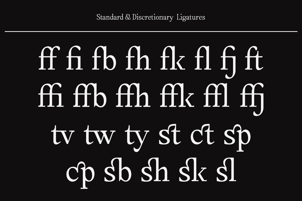 Amnesist | 12 Fonts, a Serif Font by Skinny Type (Photo 12 of 12)