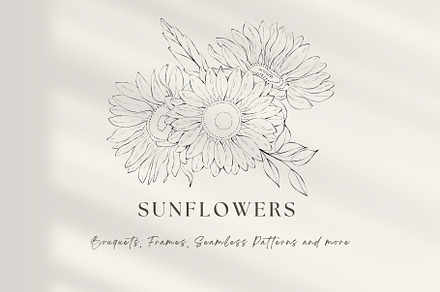 Line Art Sunflower Collection, a Decorative Illustration by Jenteva Art