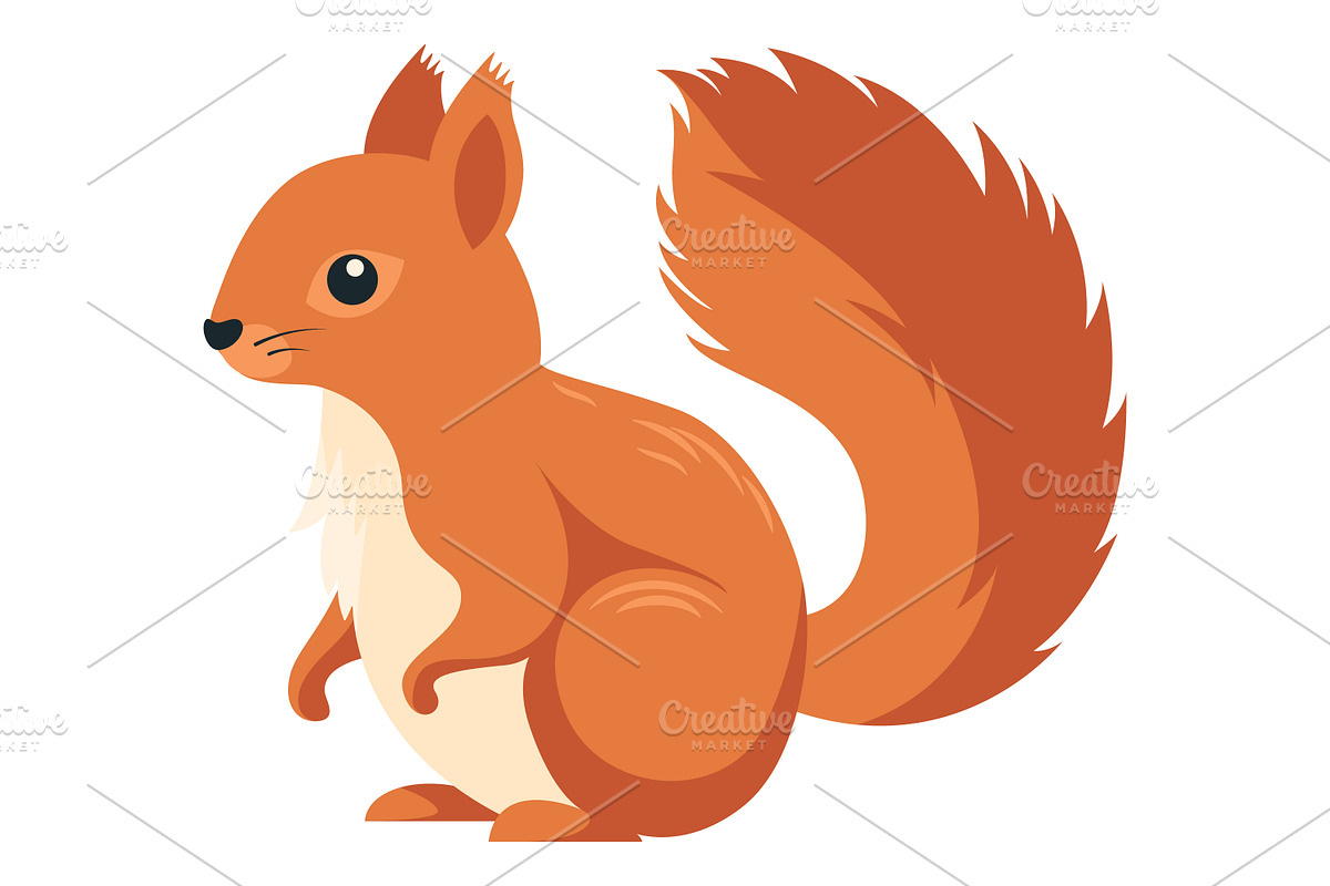 Vector Wild Animal Illustration Set., an Object Graphic by Gomolach (Photo 9 of 10)