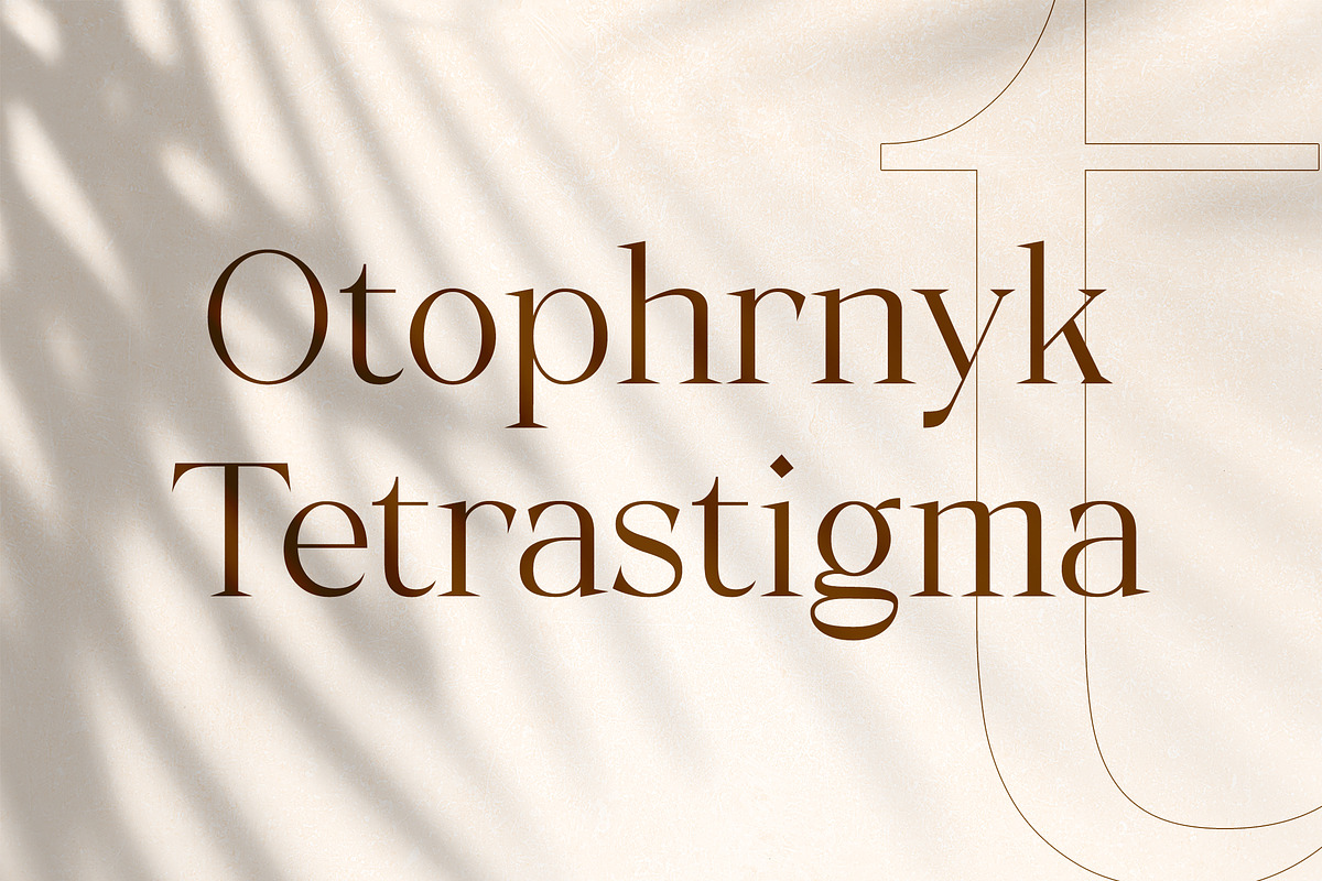 Typhone Serif, a Serif Font by Typia Nesia (Photo 2 of 7)
