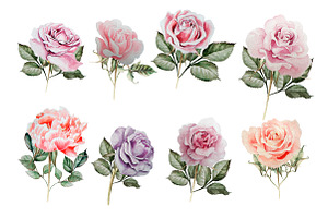 Hand Drawn Watercolor Roses 2