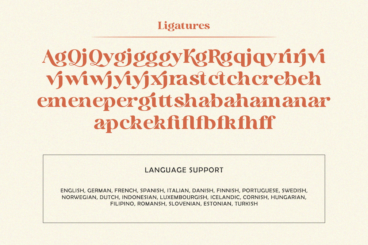 Holen Vintage, a Serif Font by Attract Studio (Photo 24 of 25)