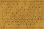 Coldiac Rough, a Serif Font by Craft Supply Co. (Thumbnail 8 of 8)