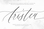 Aristea | Modern Calligraphy Script, a Script Font by Pink Coffie (Thumbnail 1 of 9)