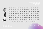 Dronefly Typeface, a Serif Font by alit design (Thumbnail 3 of 15)
