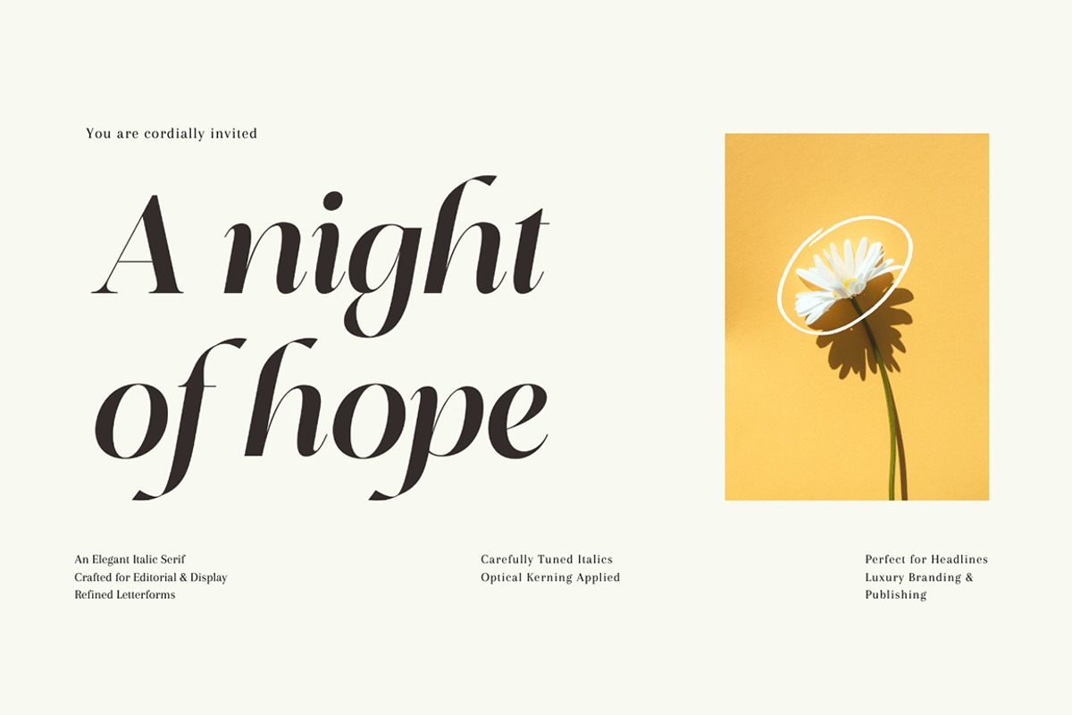 Editorium Serif, a Serif Font by Typehill (Photo 12 of 14)