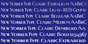 New Yorker Type Classic, a Serif Font by Wiescher-Design (Thumbnail 7 of 8)