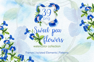 Sweet Pea Flowers Watercolor Png