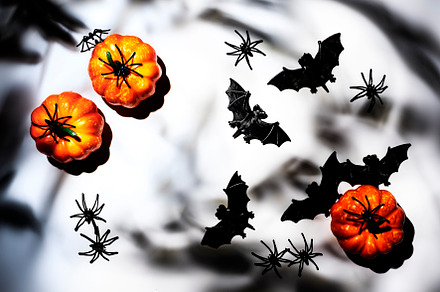 Happy Halloween white background with pumpkins, bats, spiders wi, a Holiday Photo by 5PH