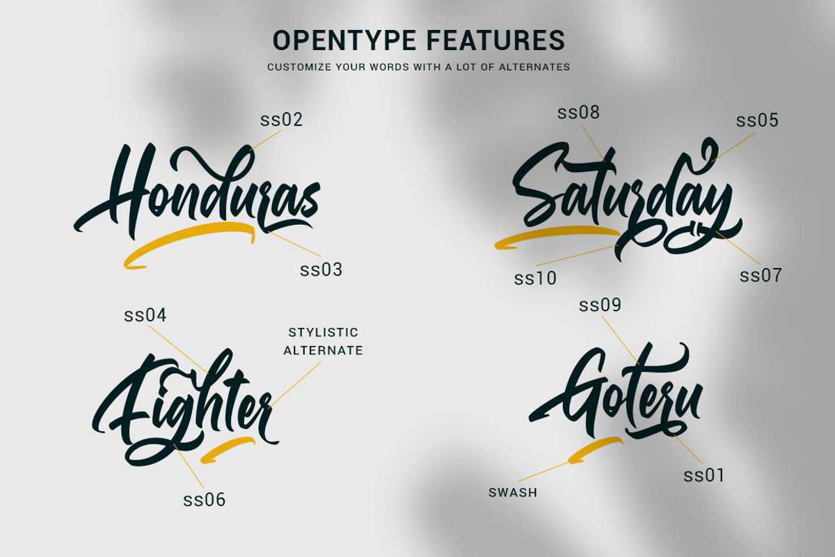 Gallardo Script preview 3