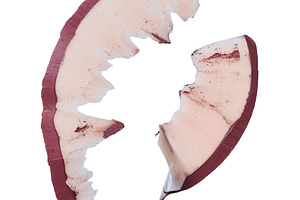 Wood shavings from a red pencil on an isolated background, a School & Education Photo by ndanko