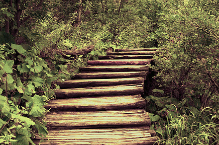 Old Wooden Stairs