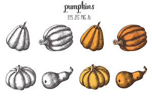 Pumpkins And Leaves Set