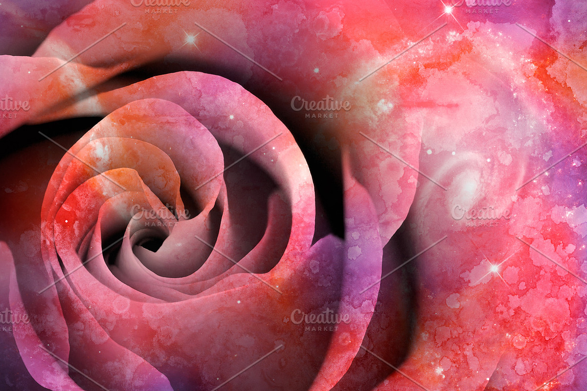 Celestial Love Rose, an Abstract Photo by Bold Frontiers (Photo 2 of 2)