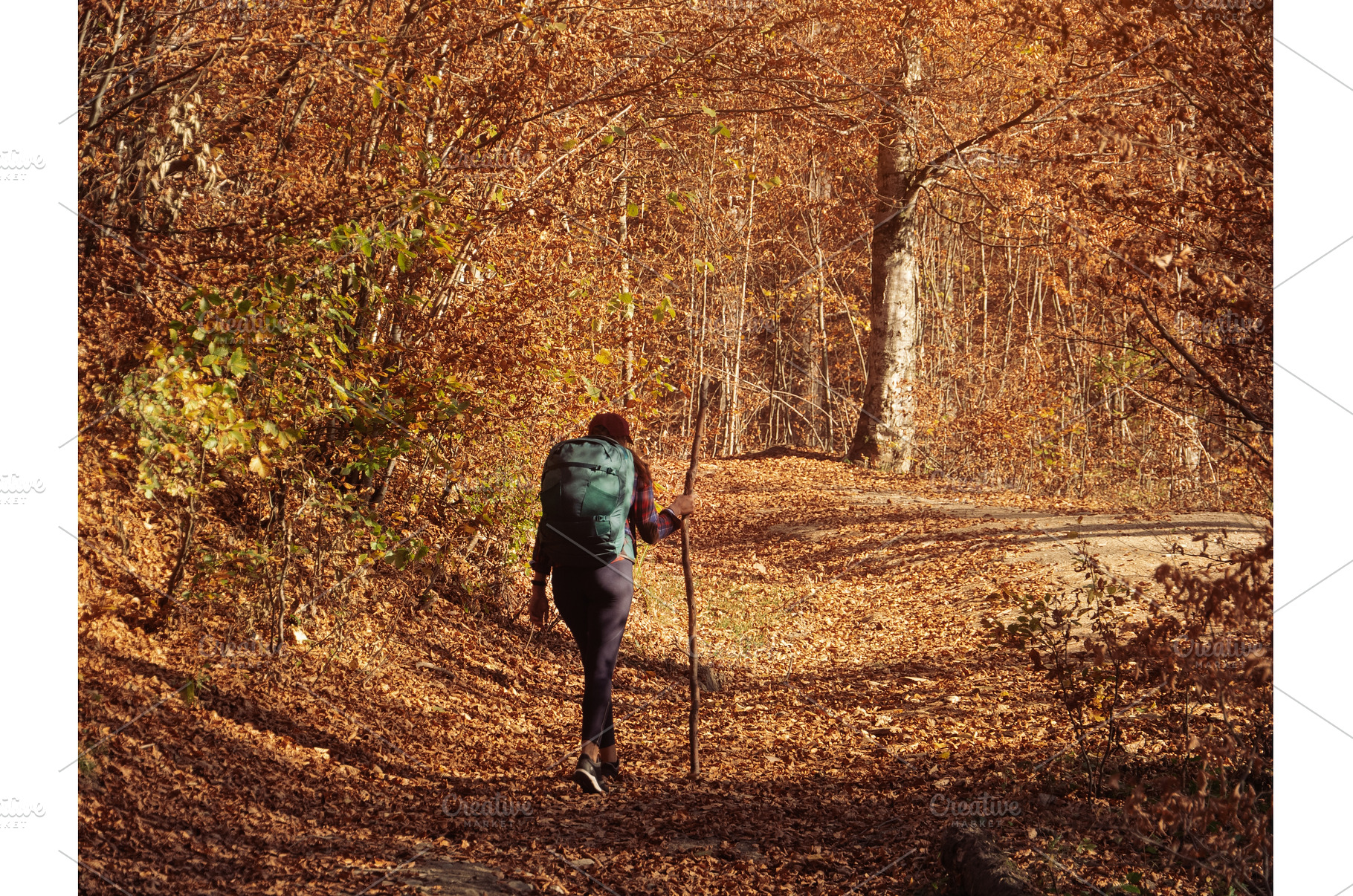 Female Hiker on Country Road Near, a Person Photo by Emotion photo