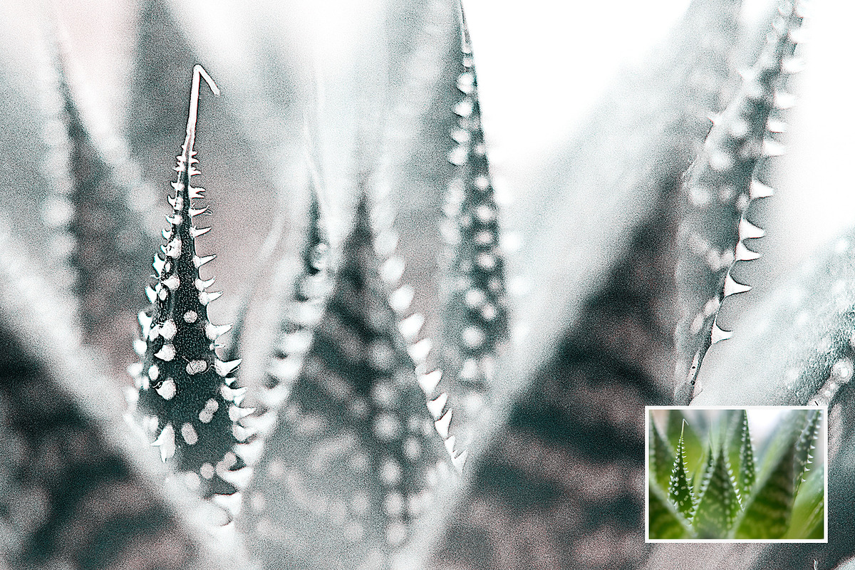 Old Bleach Photoshop Effect, a Templates & Theme by velvetmade.designs (Photo 11 of 12)